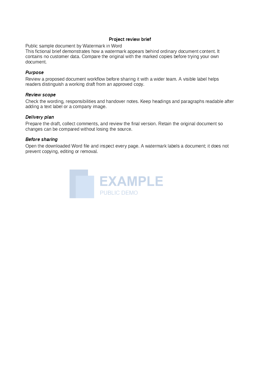 Rendered sample Word page with the blue EXAMPLE logo behind the text
