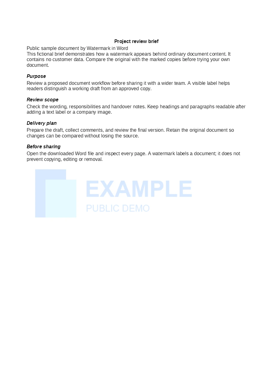 Converted Word brief with the public demo logo as a standard image watermark